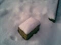 snow in jeruslem 2008 - שלג בירושלים התשס