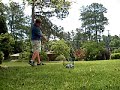 hole in one