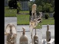 diet coke   mentos in super slow motion  1200fps 