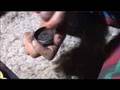 Opium abuse among Afghan women and children