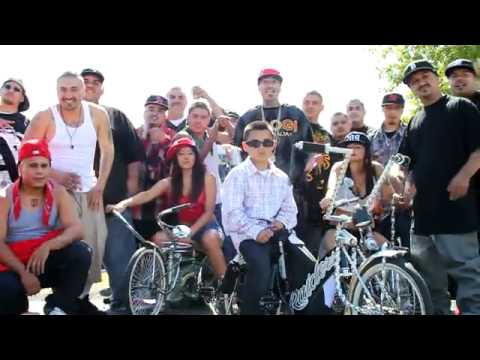 nortenos 14