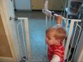 Gate Crasher