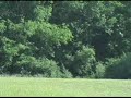 Disc Golf Live episode 21 intro