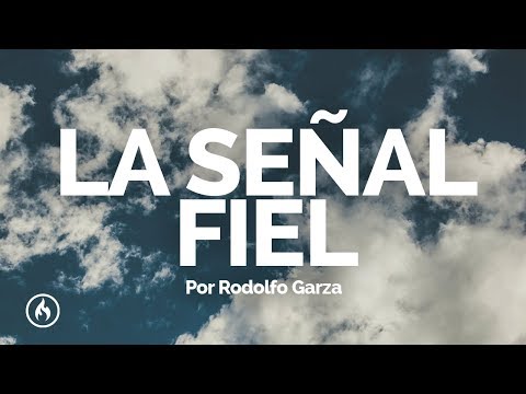 Ver video