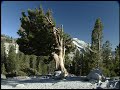 1 Minute Vacation - Yosemite High Country