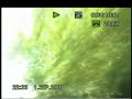 Randelin, EK8 Crash, SM Uusikaupunki-ralli 2007 Randelin, EK8 Crash, SM Uusikaupunki-ralli 2007