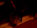 á façanha do felix tomando toddy