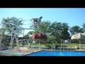 Dana-Learning to Dive!