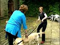 Jan Fennell the Dog Listener