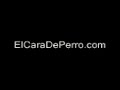Broma De Piolin Por La Manana: El Senor Y El Robot