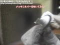 バイク旧車Z400FX_メッキシルバーを吹いてみる