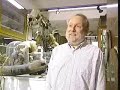 Tracing a 175-year-old tortoise\ Tracing a 175-year-old tortoise\