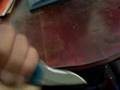 kershaw blu scallion