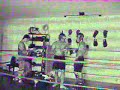 muay thai x kickboxing