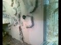 bartis neues terrarium