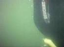 Freediving in Largen Freediving in Largen