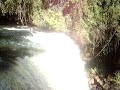 cachoeira do jary