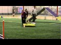 2010-01-12 | Portuguese Podengo Agility Dexter N Std 010210.mpg ~> (<span>1:)