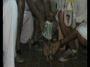 Perro Chiquilicuatre
