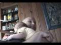 CONTEST! GOOGLE YOUR USERNAME! videochick770 1,500,000