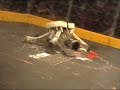 NERC Motorama 2008 Highlights