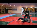 Teiken no kata - 1st level Gyokko ryu for Akban wiki