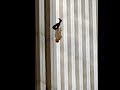 Dedication to The Falling Man 9/11
