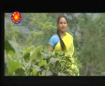 See video See video