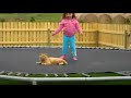 Девочка на батуте с котом