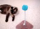 Janus Gets High (on Catnip)