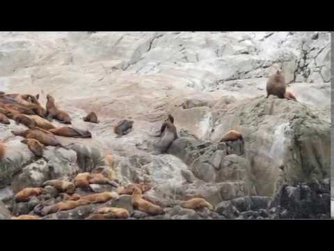 A Week Aboard the Wilderness Explorer in Alaska