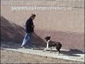 Trickdogging (part I) - Hacer el \"Pino\"