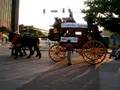 Sundown Parade 2007