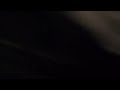 domino