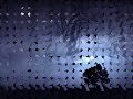 Terror Agrario- Solo las sombras conocen la verdad