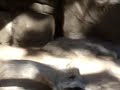 MOV01019.MPG