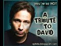 a tribute to david duchovny with scenes of 