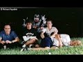 Foo Fighters, Come Alive