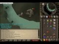 icecoldkila5 and zorlok7 Vs. dk rex