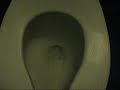 Kohler + Bonus