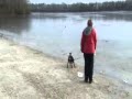 De hond uitlaten