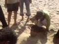 Pushkin's video taken by gr8 Gaurish