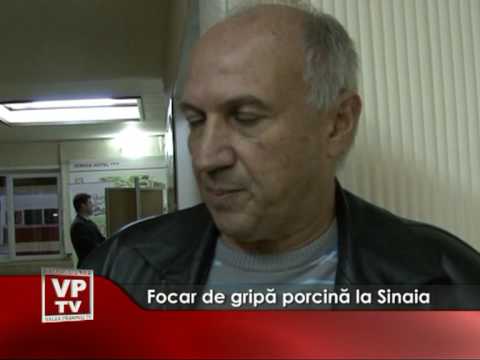Focar de gripă porcină în Sinaia