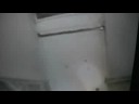 A HAPPY MEDIUM - an American soldier returns home