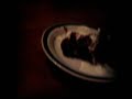 Eleven12thirteen food