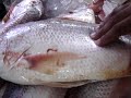Gu�a para comprar pescado