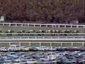 1986 AJC Derby- Bonecrusher 1986 AJC Derby- Bonecrusher