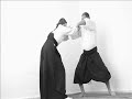 Ogawa Ryu Jujutsu Henka no Heiho