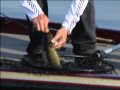 Rice Lake Walleye Part 4 of 4