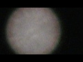 captured ovni